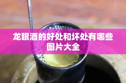 龙眼酒的好处和坏处有哪些图片大全