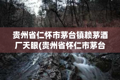 贵州省仁怀市茅台镇赖茅酒厂天眼(贵州省怀仁市茅台镇赖茅酒厂是什么时候成立的)