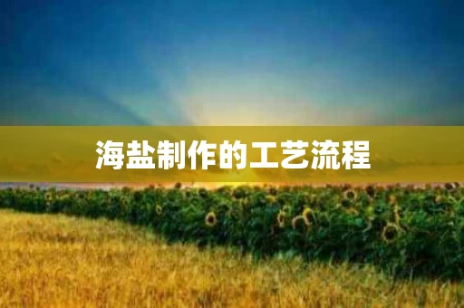 海盐制作的工艺流程