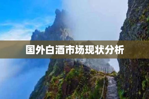 国外白酒市场现状分析