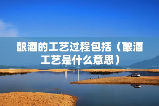 酿酒的工艺过程包括（酿酒工艺是什么意思）