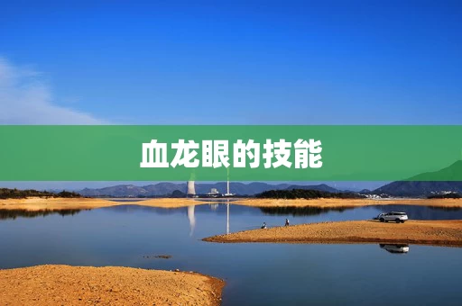 血龙眼的技能