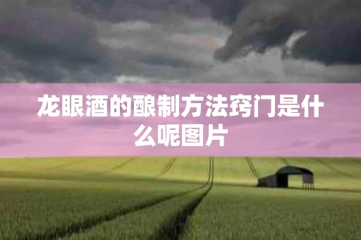 龙眼酒的酿制方法窍门是什么呢图片