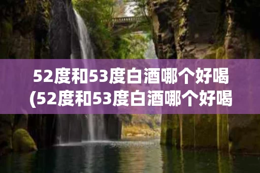52度和53度白酒哪个好喝(52度和53度白酒哪个好喝点)