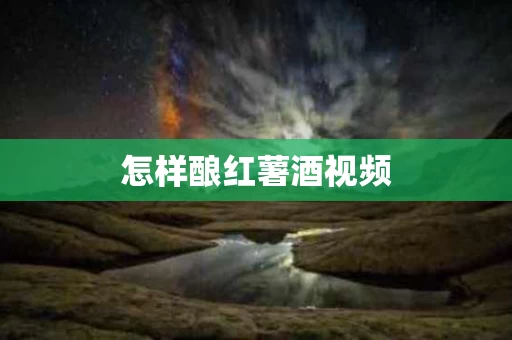怎样酿红薯酒视频