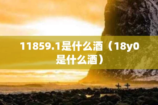 11859.1是什么酒（18y0是什么酒）