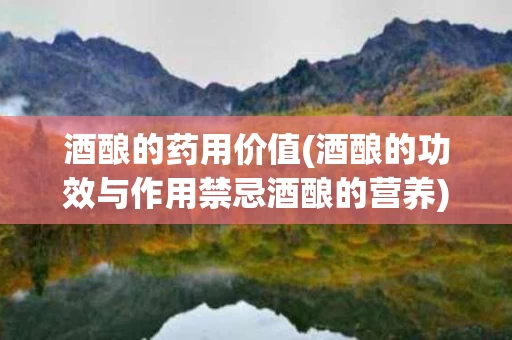酒酿的药用价值(酒酿的功效与作用禁忌酒酿的营养)