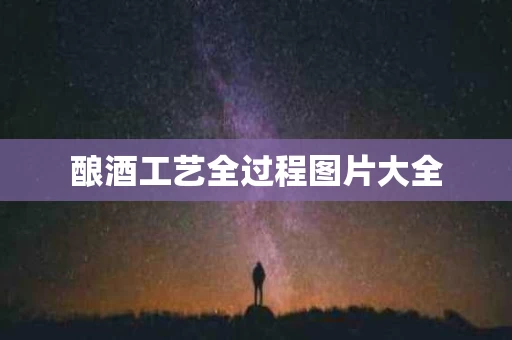 酿酒工艺全过程图片大全