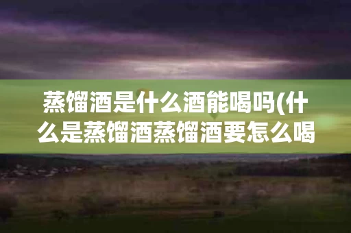 蒸馏酒是什么酒能喝吗(什么是蒸馏酒蒸馏酒要怎么喝)