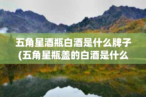 五角星酒瓶白酒是什么牌子(五角星瓶盖的白酒是什么牌子)