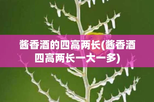 酱香酒的四高两长(酱香酒四高两长一大一多)