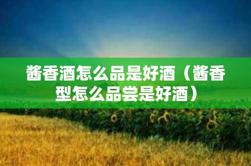 酱香酒怎么品是好酒（酱香型怎么品尝是好酒）