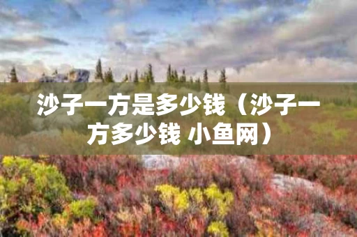 沙子一方是多少钱（沙子一方多少钱 小鱼网）