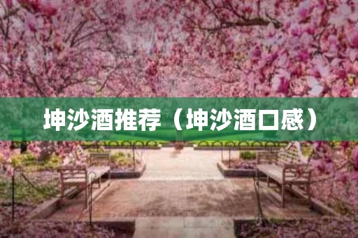 坤沙酒推荐（坤沙酒口感）
