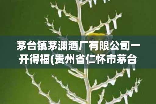茅台镇茅渊酒厂有限公司一开得福(贵州省仁怀市茅台镇茅渊酒厂有限公司)