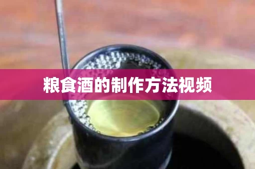 粮食酒的制作方法视频