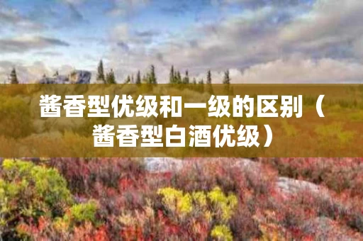 酱香型优级和一级的区别（酱香型白酒优级）