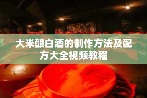 大米酿白酒的制作方法及配方大全视频教程