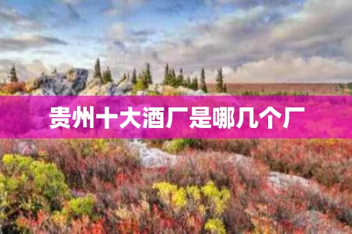 贵州十大酒厂是哪几个厂