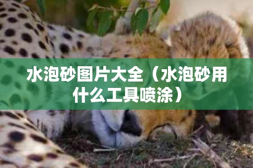 水泡砂图片大全（水泡砂用什么工具喷涂）