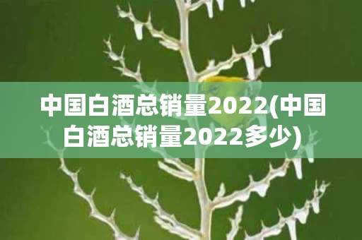 中国白酒总销量2022(中国白酒总销量2022多少)