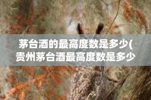 茅台酒的最高度数是多少(贵州茅台酒最高度数是多少)
