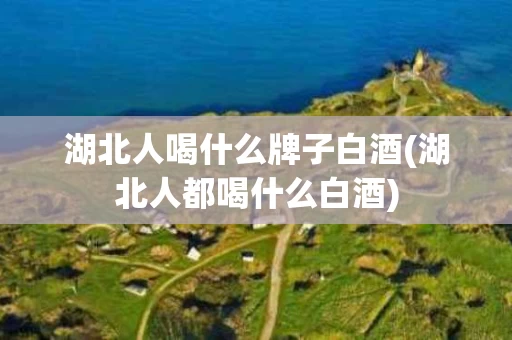 湖北人喝什么牌子白酒(湖北人都喝什么白酒)