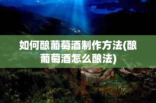 如何酿葡萄酒制作方法(酿葡萄酒怎么酿法)
