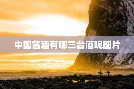 中国酱酒有哪三台酒呢图片