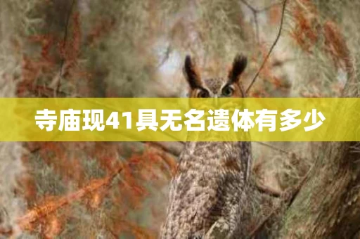 寺庙现41具无名遗体有多少