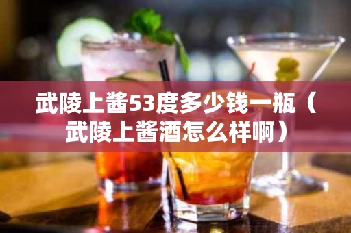 武陵上酱53度多少钱一瓶（武陵上酱酒怎么样啊）