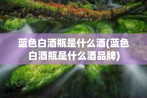蓝色白酒瓶是什么酒(蓝色白酒瓶是什么酒品牌)