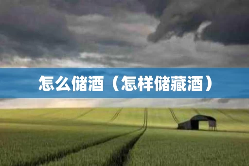怎么储酒（怎样储藏酒）