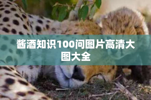 酱酒知识100问图片高清大图大全