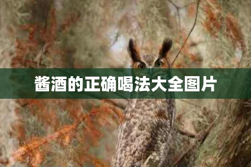 酱酒的正确喝法大全图片