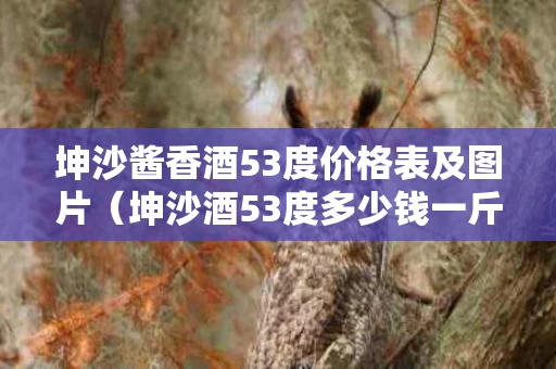 坤沙酱香酒53度价格表及图片（坤沙酒53度多少钱一斤）