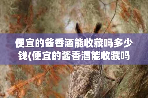 便宜的酱香酒能收藏吗多少钱(便宜的酱香酒能收藏吗多少钱一瓶)