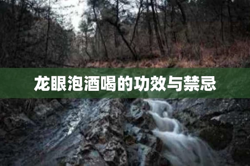 龙眼泡酒喝的功效与禁忌