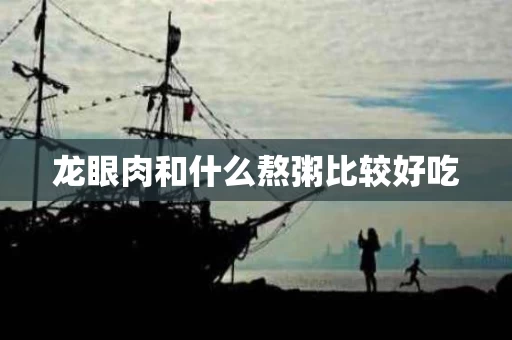 龙眼肉和什么熬粥比较好吃