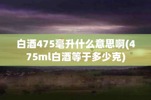 白酒475毫升什么意思啊(475ml白酒等于多少克)
