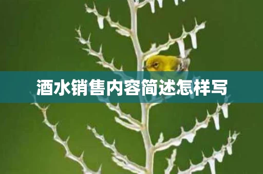 酒水销售内容简述怎样写