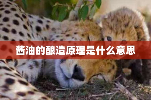 酱油的酿造原理是什么意思