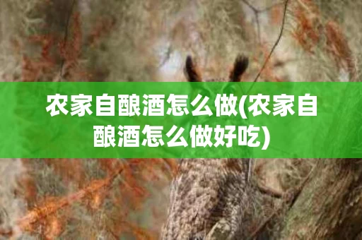 农家自酿酒怎么做(农家自酿酒怎么做好吃)