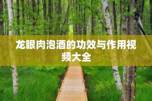 龙眼肉泡酒的功效与作用视频大全
