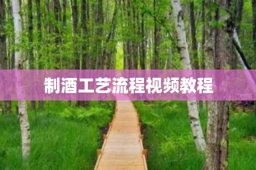 制酒工艺流程视频教程