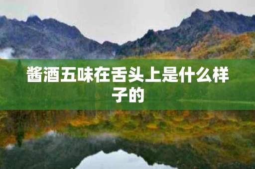 酱酒五味在舌头上是什么样子的