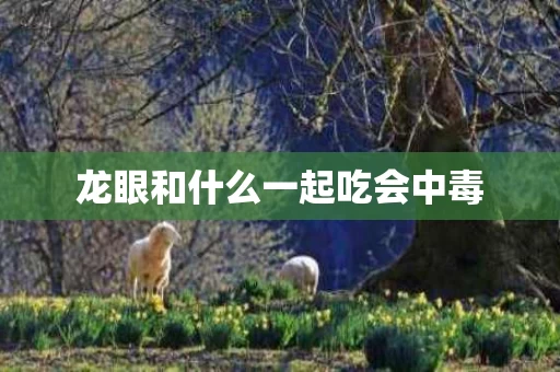 龙眼和什么一起吃会中毒