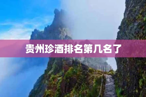 贵州珍酒排名第几名了