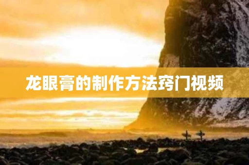 龙眼膏的制作方法窍门视频