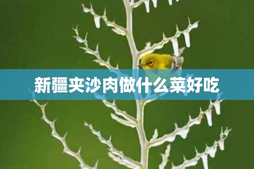 新疆夹沙肉做什么菜好吃